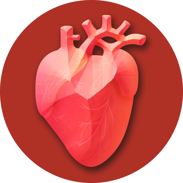 Hipertensija - stress uz sirdi